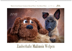 Zauberhafte Malinos Welpen – Belgische Schäferhunde (Wandkalender 2019 DIN A2 quer) von Wrede,  Martina
