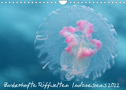 Zauberhafte Riffwelten Indonesiens 2022CH-Version (Wandkalender 2022 DIN A4 quer) von Peyer,  Claudia