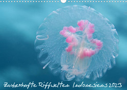 Zauberhafte Riffwelten Indonesiens 2023CH-Version (Wandkalender 2023 DIN A3 quer) von Peyer,  Claudia