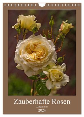 Zauberhafte Rosen (Wandkalender 2024 DIN A4 hoch), CALVENDO Monatskalender von Potratz,  Andrea