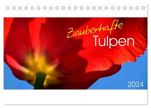 Zauberhafte Tulpen (Tischkalender 2024 DIN A5 quer), CALVENDO Monatskalender von Trabant,  Gesine