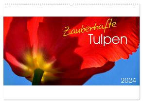 Zauberhafte Tulpen (Wandkalender 2024 DIN A2 quer), CALVENDO Monatskalender von Trabant,  Gesine
