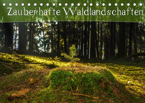 Zauberhafte Waldlandschaften (Tischkalender 2022 DIN A5 quer) von Wenk,  Marcel