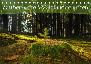 Zauberhafte Waldlandschaften (Tischkalender 2023 DIN A5 quer) von Wenk,  Marcel