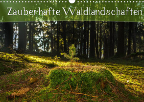 Zauberhafte Waldlandschaften (Wandkalender 2022 DIN A3 quer) von Wenk,  Marcel