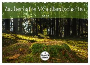 Zauberhafte Waldlandschaften (Wandkalender 2024 DIN A2 quer), CALVENDO Monatskalender von Wenk,  Marcel