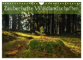 Zauberhafte Waldlandschaften (Wandkalender 2024 DIN A4 quer), CALVENDO Monatskalender von Wenk,  Marcel