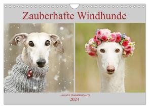 Zauberhafte Windhunde (Wandkalender 2024 DIN A4 quer), CALVENDO Monatskalender von Köntopp,  Kathrin