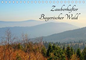 Zauberhafter Bayerischer Wald (Tischkalender 2019 DIN A5 quer) von Stein,  Karin