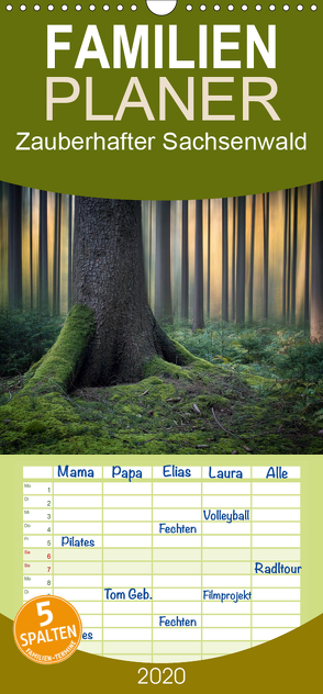 Zauberhafter Sachsenwald – Familienplaner hoch (Wandkalender 2020 , 21 cm x 45 cm, hoch) von Meyerdierks,  Carsten