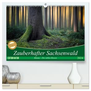 Zauberhafter Sachsenwald (hochwertiger Premium Wandkalender 2024 DIN A2 quer), Kunstdruck in Hochglanz von Meyerdierks,  Carsten