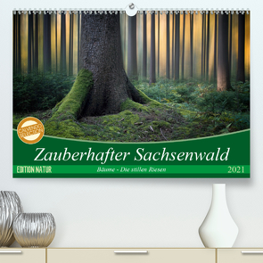 Zauberhafter Sachsenwald (Premium, hochwertiger DIN A2 Wandkalender 2021, Kunstdruck in Hochglanz) von Meyerdierks,  Carsten