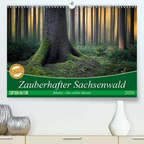 Zauberhafter Sachsenwald (Premium, hochwertiger DIN A2 Wandkalender 2020, Kunstdruck in Hochglanz) von Meyerdierks,  Carsten