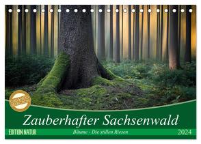 Zauberhafter Sachsenwald (Tischkalender 2024 DIN A5 quer), CALVENDO Monatskalender von Meyerdierks,  Carsten