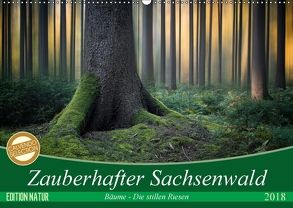 Zauberhafter Sachsenwald (Wandkalender 2018 DIN A2 quer) von Meyerdierks,  Carsten