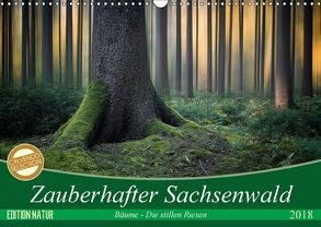 Zauberhafter Sachsenwald (Wandkalender 2018 DIN A3 quer) von Meyerdierks,  Carsten