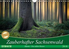 Zauberhafter Sachsenwald (Wandkalender 2018 DIN A4 quer) von Meyerdierks,  Carsten