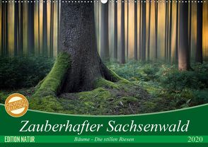 Zauberhafter Sachsenwald (Wandkalender 2020 DIN A2 quer) von Meyerdierks,  Carsten