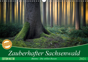 Zauberhafter Sachsenwald (Wandkalender 2021 DIN A3 quer) von Meyerdierks,  Carsten