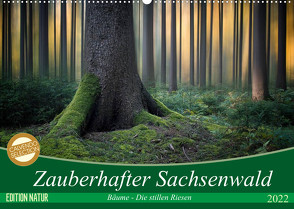 Zauberhafter Sachsenwald (Wandkalender 2022 DIN A2 quer) von Meyerdierks,  Carsten