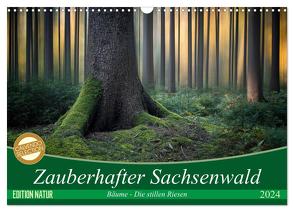 Zauberhafter Sachsenwald (Wandkalender 2024 DIN A3 quer), CALVENDO Monatskalender von Meyerdierks,  Carsten