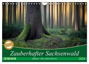 Zauberhafter Sachsenwald (Wandkalender 2024 DIN A4 quer), CALVENDO Monatskalender von Meyerdierks,  Carsten