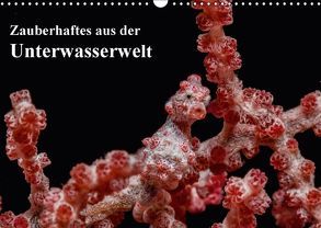 Zauberhaftes aus der Unterwasserwelt (Wandkalender 2018 DIN A3 quer) von Smith,  Sidney