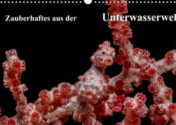 Zauberhaftes aus der Unterwasserwelt (Wandkalender 2023 DIN A3 quer) von Smith,  Sidney