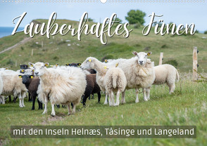 Zauberhaftes Fünen mit den Inseln Helnæs, Tåsinge und Langeland (Wandkalender 2023 DIN A2 quer) von Wendling,  Marco