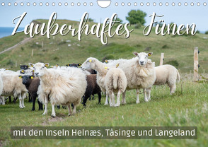 Zauberhaftes Fünen mit den Inseln Helnæs, Tåsinge und Langeland (Wandkalender 2023 DIN A4 quer) von Wendling,  Marco