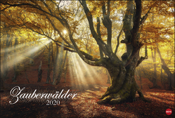 Zauberwälder Edition Kalender 2020 von Heye