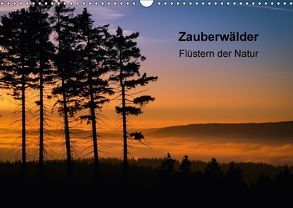 Zauberwälder – Flüstern der Natur (Wandkalender 2018 DIN A3 quer) von Pi,  Dora
