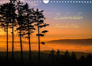 Zauberwälder – Flüstern der Natur (Wandkalender 2023 DIN A4 quer) von Pi,  Dora