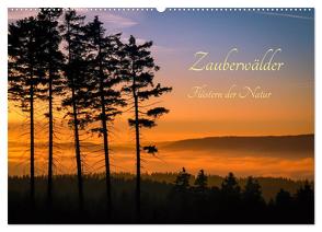 Zauberwälder – Flüstern der Natur (Wandkalender 2024 DIN A2 quer), CALVENDO Monatskalender von Pi,  Dora