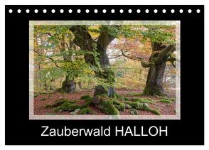 Zauberwald HALLOH (Tischkalender 2024 DIN A5 quer), CALVENDO Monatskalender von Maurer,  Marion