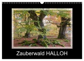 Zauberwald HALLOH (Wandkalender 2024 DIN A3 quer), CALVENDO Monatskalender von Maurer,  Marion