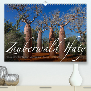 Zauberwald Ifaty · Traumhafte Baobabs in Madagaskar (Premium, hochwertiger DIN A2 Wandkalender 2023, Kunstdruck in Hochglanz) von Bruhn,  Olaf