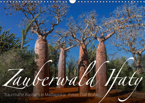 Zauberwald Ifaty · Traumhafte Baobabs in Madagaskar (Wandkalender 2019 DIN A3 quer) von Bruhn,  Olaf