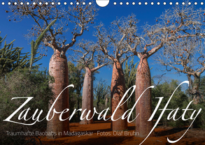 Zauberwald Ifaty · Traumhafte Baobabs in Madagaskar (Wandkalender 2019 DIN A4 quer) von Bruhn,  Olaf