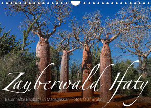 Zauberwald Ifaty · Traumhafte Baobabs in Madagaskar (Wandkalender 2023 DIN A4 quer) von Bruhn,  Olaf