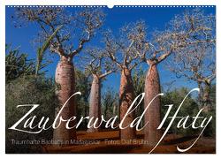 Zauberwald Ifaty · Traumhafte Baobabs in Madagaskar (Wandkalender 2024 DIN A2 quer), CALVENDO Monatskalender von Bruhn,  Olaf