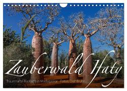 Zauberwald Ifaty · Traumhafte Baobabs in Madagaskar (Wandkalender 2024 DIN A4 quer), CALVENDO Monatskalender von Bruhn,  Olaf