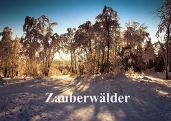 Zauberwälder (Posterbuch DIN A4 quer) von Pi,  Dora