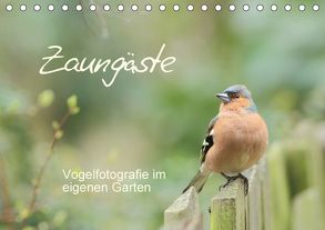 Zaungäste (Tischkalender 2018 DIN A5 quer) von Mainz,  Beate