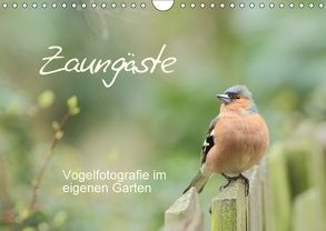 Zaungäste (Wandkalender 2018 DIN A4 quer) von Mainz,  Beate
