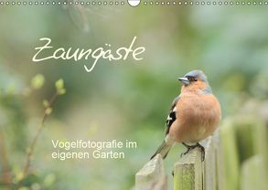 Zaungäste (Wandkalender 2019 DIN A3 quer) von Mainz,  Beate