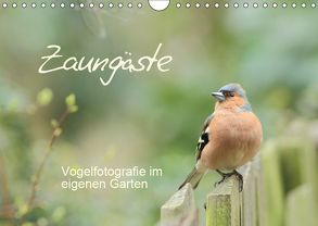 Zaungäste (Wandkalender 2019 DIN A4 quer) von Mainz,  Beate