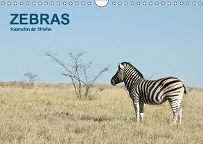 Zebras – Faszination der Streifen (Wandkalender 2019 DIN A4 quer) von Krebs,  Thomas