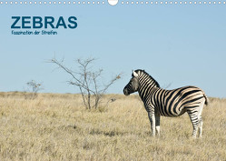 Zebras – Faszination der Streifen (Wandkalender 2023 DIN A3 quer) von Krebs,  Thomas