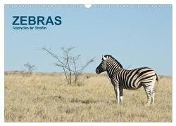 Zebras – Faszination der Streifen (Wandkalender 2024 DIN A3 quer), CALVENDO Monatskalender von Krebs,  Thomas